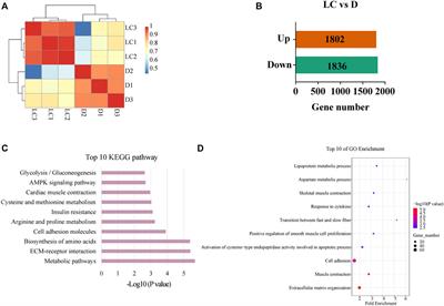 Integrative metabolomic and transcriptomic analysis reveals difference in glucose and lipid metabolism in the longissimus muscle of Luchuan and Duroc pigs